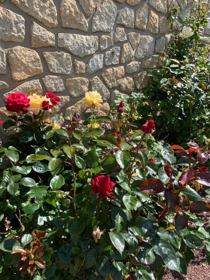 Ker-Loen Bed & Breakfast Val-Couesnon Bagian luar foto